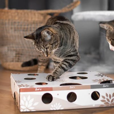 Canadian Cat Company MagicBox Juego De Inteligencia Para Gatos 14 Canadian Cat Company MagicBox Juego De Inteligencia Para Gatos - Imagen 14