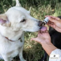 PAWS & PATCH Complemento Para La Ansiedad -Trixie Tienda De Ventas 347097 paws patch angst unsicherheit hs 02 8