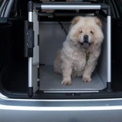 Jaula De Transporte Trixie De Aluminio -Trixie Tienda De Ventas 42815 trixie transportbox alu fg 3618 0