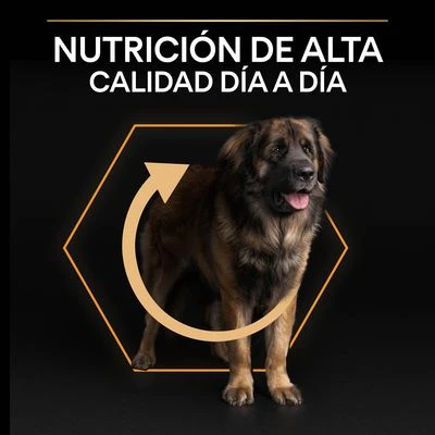 PURINA PRO PLAN Large Robust Adult Everyday Nutrition 4 PURINA PRO PLAN Large Robust Adult Everyday Nutrition - Imagen 4