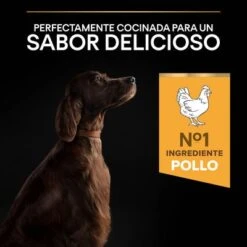 PURINA PRO PLAN Large Athletic Adult Everyday Nutrition 15 PURINA PRO PLAN Large Athletic Adult Everyday Nutrition -Trixie Tienda De Ventas 44142590 es es 221230 1 1