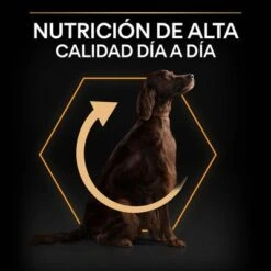 PURINA PRO PLAN Large Athletic Adult Everyday Nutrition 12 PURINA PRO PLAN Large Athletic Adult Everyday Nutrition -Trixie Tienda De Ventas 44142590 es es 221230 1 3 8