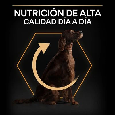 PURINA PRO PLAN Large Athletic Adult Everyday Nutrition 4 PURINA PRO PLAN Large Athletic Adult Everyday Nutrition - Imagen 4