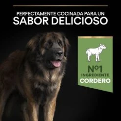 Purina Pro Plan Large Robust Adult Sensitive Digestion Cordero Y Arroz -Trixie Tienda De Ventas 44142626 es es 221230 1 8