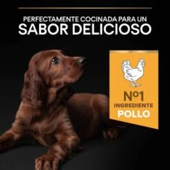PURINA PRO PLAN Large Athletic Puppy Healthy Start 17 PURINA PRO PLAN Large Athletic Puppy Healthy Start -Trixie Tienda De Ventas 44142743 es es 221230 1 3