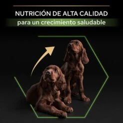 PURINA PRO PLAN Large Athletic Puppy Healthy Start 14 PURINA PRO PLAN Large Athletic Puppy Healthy Start -Trixie Tienda De Ventas 44142743 es es 221230 1 3 5