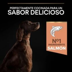 Purina Pro Plan Large Athletic Adult Sensitive Skin Salmón 15 Purina Pro Plan Large Athletic Adult Sensitive Skin Salmón -Trixie Tienda De Ventas 44152227 es es 221230 1 2