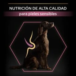 Purina Pro Plan Large Athletic Adult Sensitive Skin Salmón 12 Purina Pro Plan Large Athletic Adult Sensitive Skin Salmón -Trixie Tienda De Ventas 44152227 es es 221230 1 3 9