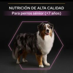 PURINA PRO PLAN Medium & Large Adult 7+ Age Defence 12 PURINA PRO PLAN Medium & Large Adult 7+ Age Defence -Trixie Tienda De Ventas 44152668 es es 221230 1 3 5