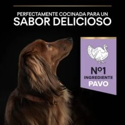 PURINA PRO PLAN Small & Mini Adult Sensitive Digestion Sin Cereales -Trixie Tienda De Ventas 44157647 es es 221230 1 5