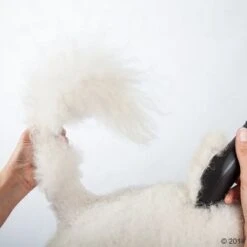 Máquina Cortapelo Moser Max50 29 Máquina Cortapelo Moser Max50 -Trixie Tienda De Ventas 465281 schermaschine moser max 50 02 0