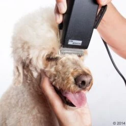 Máquina Cortapelo Moser Rex 21 Máquina Cortapelo Moser Rex -Trixie Tienda De Ventas 465375 schermaschine moser rex 04 0