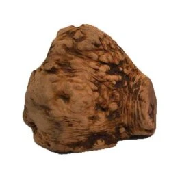 Chewies Raíz Para Masticar Tamaño L 6 Chewies Raíz Para Masticar Tamaño L -Trixie Tienda De Ventas 498909 pets nature kauwurzel chewies variante 2