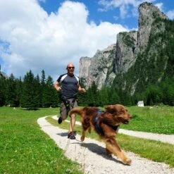 Arnés De Canicross NEEWA Running Rojo Para Perros -Trixie Tienda De Ventas 505648 hs neewa running harness rot im einsatz 4