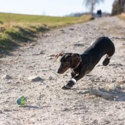 Zapatos Para Perros S & P Boots -Trixie Tienda De Ventas 52149 hundeschuhe xs fg 0967 9