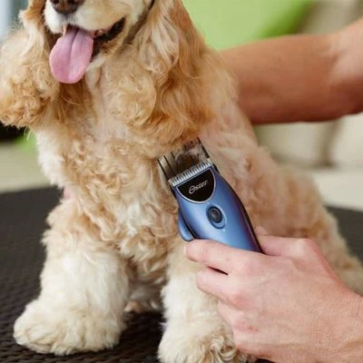Set Máquina Cortapelo Para Mascotas Oster 220 V 11 Set Máquina Cortapelo Para Mascotas Oster 220 V - Imagen 11