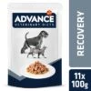 Advance Recovery Veterinary Diets Comida Húmeda Para Perros Y Gatos