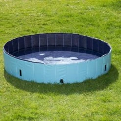 Piscina Para Perros Keep Cool -Trixie Tienda De Ventas 60405 PLA Dog Pool Keep Cool 160 FG DSC4746 6