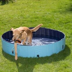 Piscina Para Perros Keep Cool -Trixie Tienda De Ventas 60405 dog pool mit hund 01 5
