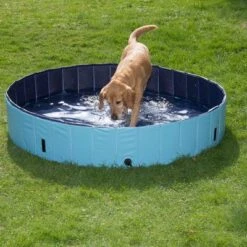 Piscina Para Perros Keep Cool -Trixie Tienda De Ventas 60405 dog pool mit hund 02 0