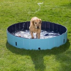 Piscina Para Perros Keep Cool -Trixie Tienda De Ventas 60405 dog pool mit hund 05 2