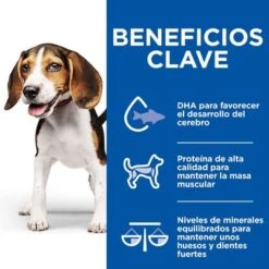 Hill's Science Plan Hill’s Puppy Medium & Large Healthy Cuisine Con Pollo Para Perros 21 Hill's Science Plan Hill’s Puppy Medium & Large Healthy Cuisine Con Pollo Para Perros -Trixie Tienda De Ventas 606601 9 4