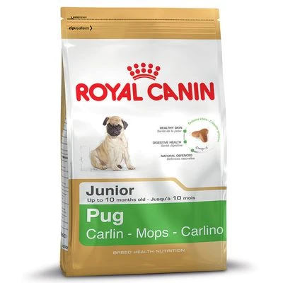 Royal Canin Carlino Puppy / Junior 2 Royal Canin Carlino Puppy / Junior - Imagen 2