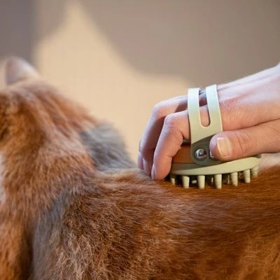 Kooa Cepillo Masajeador Para Gatos 6 Kooa Cepillo Masajeador Para Gatos - Imagen 6