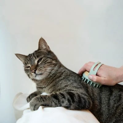 Kooa Cepillo Masajeador Para Gatos 7 Kooa Cepillo Masajeador Para Gatos - Imagen 7