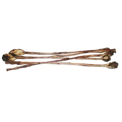 Snack Canibit Látigo De Ternera Para Perros 4 Snack Canibit Látigo De Ternera Para Perros - Imagen 4