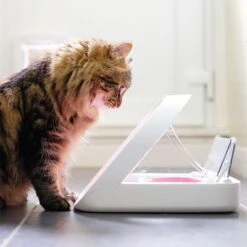 Sureflap Colgantes Identificativos Para Gateras Y Comederos Automáticos -Trixie Tienda De Ventas 65566 surefeed microchip pet feeder hs 01 1