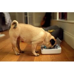 Comedero Hermético SureFeed 15 Comedero Hermético SureFeed -Trixie Tienda De Ventas 69308 pla 6 luftdichte futt 3