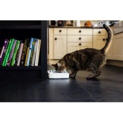 Comedero Hermético SureFeed 18 Comedero Hermético SureFeed -Trixie Tienda De Ventas 69308 pla 7 luftdichte futt 5