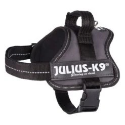 Julius K9 Arnés JULIUS-K9® Power Antracita Para Perros -Trixie Tienda De Ventas 69338 pla trixie julius k9 farbangabe hs 03 15020za 3