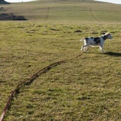 Correa De Rastreo Heim Engomada Para Perros -Trixie Tienda De Ventas 71830 supergrip outside fg 3556 0