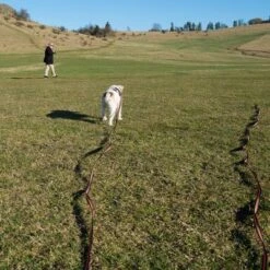 Correa De Rastreo Heim Engomada Para Perros -Trixie Tienda De Ventas 71830 supergrip outside fg 3561 5