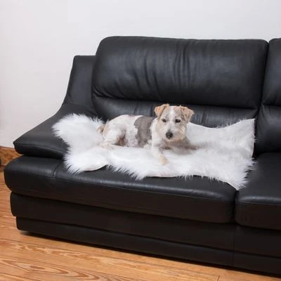 Smartpet Alfombra Para Perros Y Gatos 9 Smartpet Alfombra Para Perros Y Gatos - Imagen 9