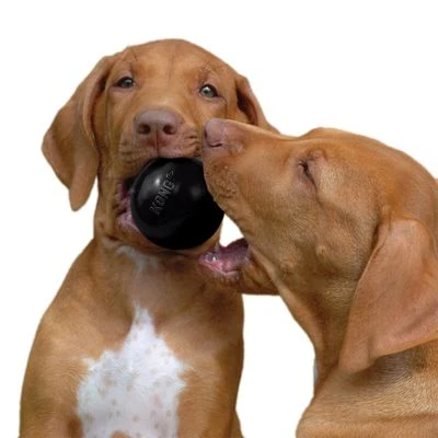 KONG Extreme Ball 3 KONG Extreme Ball - Imagen 3