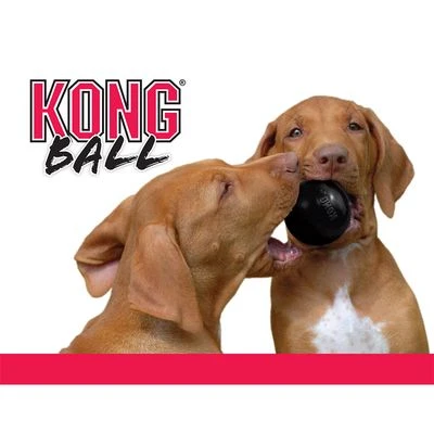 KONG Extreme Ball 4 KONG Extreme Ball - Imagen 4
