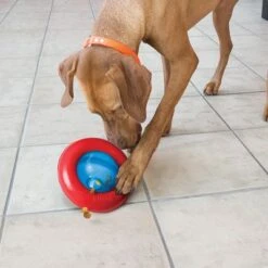 KONG Gyro Juguete Rellenable Para Perros -Trixie Tienda De Ventas 74248 kong gyro 1