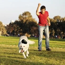 KONG Extreme Juguete Negro Para Perros 19 KONG Extreme Juguete Negro Para Perros -Trixie Tienda De Ventas 74319 kongextremeschwarz hs 02 0