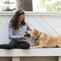 KONG Extreme Juguete Negro Para Perros 23 KONG Extreme Juguete Negro Para Perros -Trixie Tienda De Ventas 74319 kongextremeschwarz hs 03 2