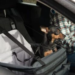 Asiento Para El Coche Booster 17 Asiento Para El Coche Booster -Trixie Tienda De Ventas 78030 autositz booster fg 6387 2