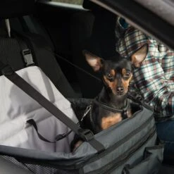 Asiento Para El Coche Booster 18 Asiento Para El Coche Booster -Trixie Tienda De Ventas 78030 autositz booster fg 6388 6