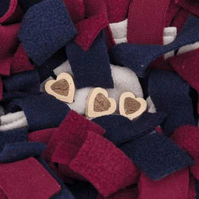 Trixie Activity Alfombra Olfativa Para Perros Y Gatos 3 Trixie Activity Alfombra Olfativa Para Perros Y Gatos - Imagen 3