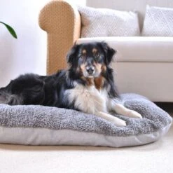 Cojín Ortopédico Pawz & Pepper Denver -Trixie Tienda De Ventas 78610 petlando pawzpepper hundekissen auroraortho hs 010 3