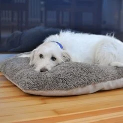 Cojín Ortopédico Pawz & Pepper Denver -Trixie Tienda De Ventas 78610 petlando pawzpepper hundekissen auroraortho hs 09 5