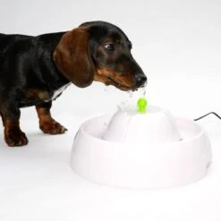 Bebedero Fuente Neptuno 20 Bebedero Fuente Neptuno -Trixie Tienda De Ventas 80407 trinkbrunnen trevi fg nachschlag 3283 6