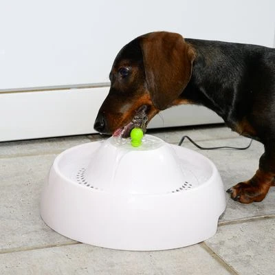 Bebedero Fuente Neptuno 16 Bebedero Fuente Neptuno - Imagen 16