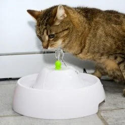 Bebedero Fuente Neptuno 34 Bebedero Fuente Neptuno -Trixie Tienda De Ventas 80407 trinkbrunnen trevi fg nachschlag 3328 6